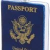 Cody Foster Holiday USA Passport Ornament