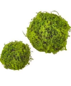 Raz Moss Ball Set Décor
