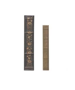 Creative Co-Op Décor Canvas Book Storage Boxes Set Of 2