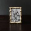 Beatriz Ball Sierra Modern Bamboo 4x6 Gold Frame