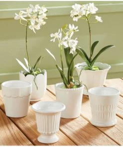 Napa Home And Garden Mirabelle Mini Cachepot Décor