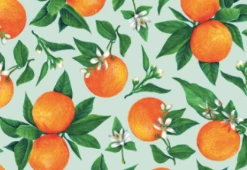 Hester & Cook Orange Orchard Placemat Tabletop