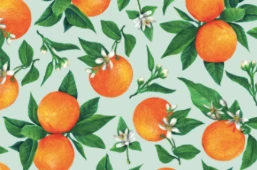 Hester & Cook Orange Orchard Placemat Tabletop 1 Hester & Cook Orange Orchard Placemat Tabletop
