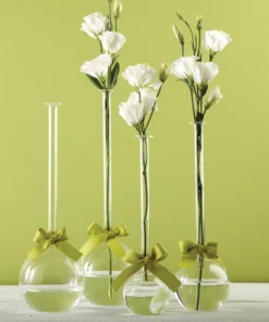Two’s Company Glass Bubble Vase Décor