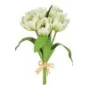 Raz Décor Real Touch Cream Parrot Tulip Bundle