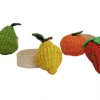 Klatso Tabletop Mixed Fruits Napkin Holder