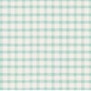 Hester & Cook Tabletop Seafoam Painted Check Placemat
