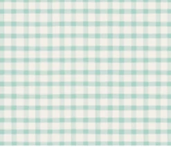 Hester & Cook Tabletop Seafoam Painted Check Placemat