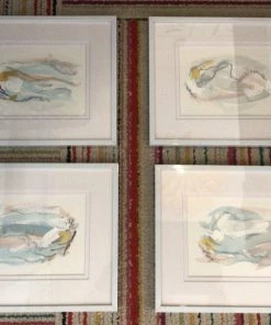 Highland Gallery Adleyn Scott Smalls-light Décor