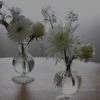 Beatriz Ball Louise Set Of 2 5” Clear Bud Vase Glassware