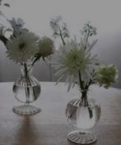 Beatriz Ball Louise Set Of 2 5” Clear Bud Vase Glassware