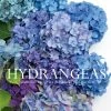 Gibbs Smith Hydrangeas Décor