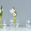 Etu Home Clear Sphere Vase - 5" Décor
