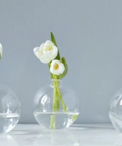 Etu Home Clear Sphere Vase - 5" Décor