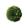 Napa Home And Garden 4” Boxwood Ball